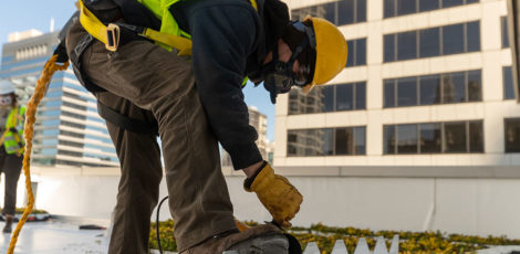 Worker planting greens on rooftop