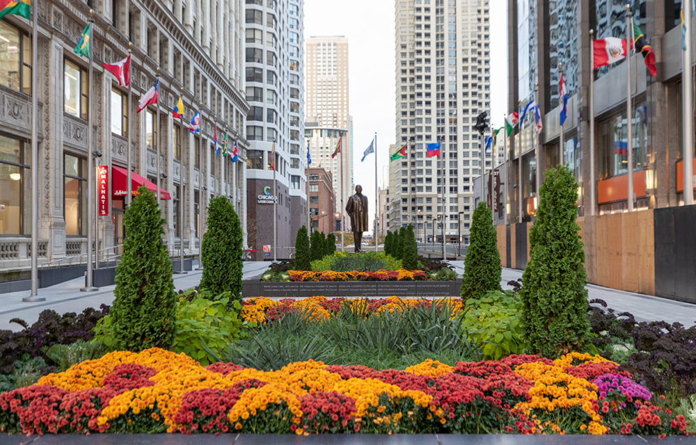 Freshly planted flowers at the Plaza of the Americas