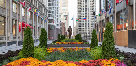 Freshly planted flowers at the Plaza of the Americas